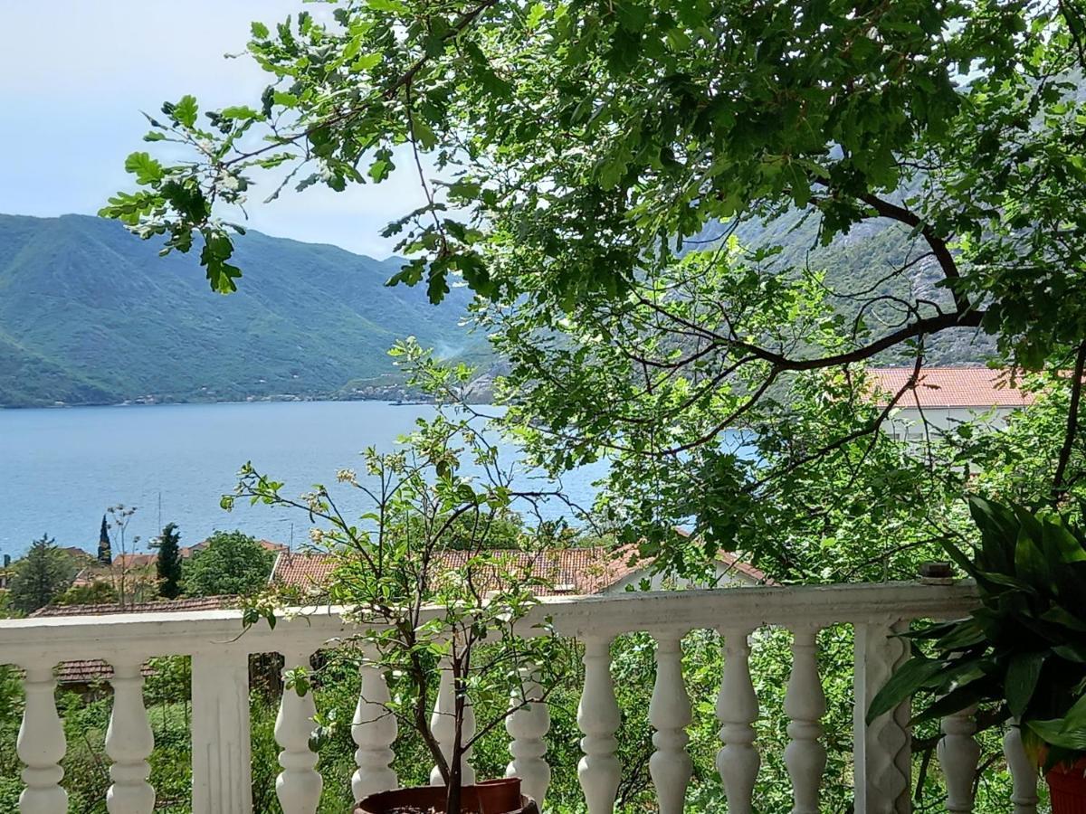 Hotel Sea View Risan Zewnętrze zdjęcie