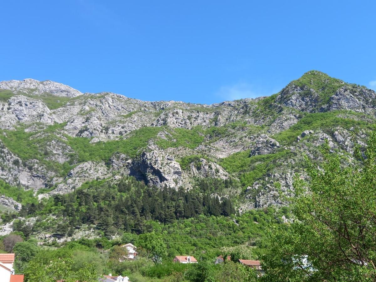 Hotel Sea View Risan Zewnętrze zdjęcie